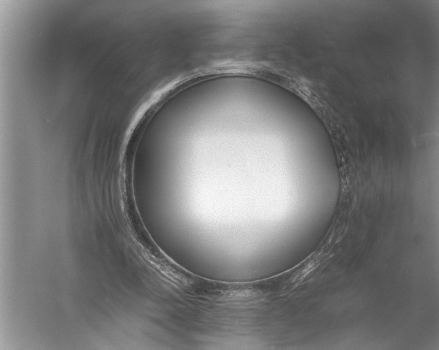 X0000057060342200510010113