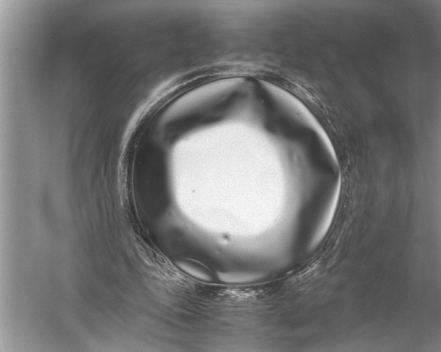 X0000057060343200510010113