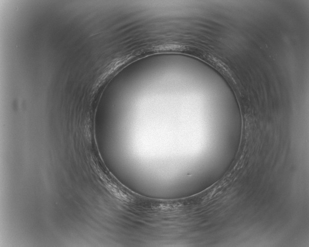 X0000057060345200510010113