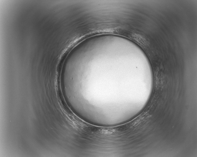 X0000057060346200510010113