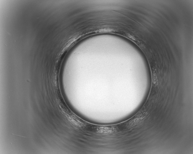 X0000057060347200510010113