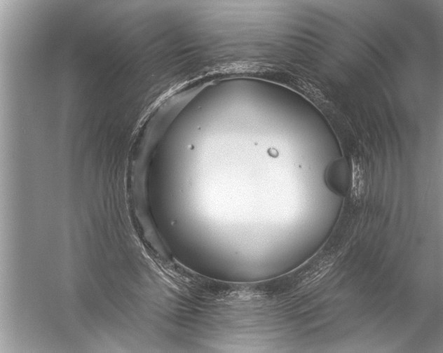 X0000057060348200510010113