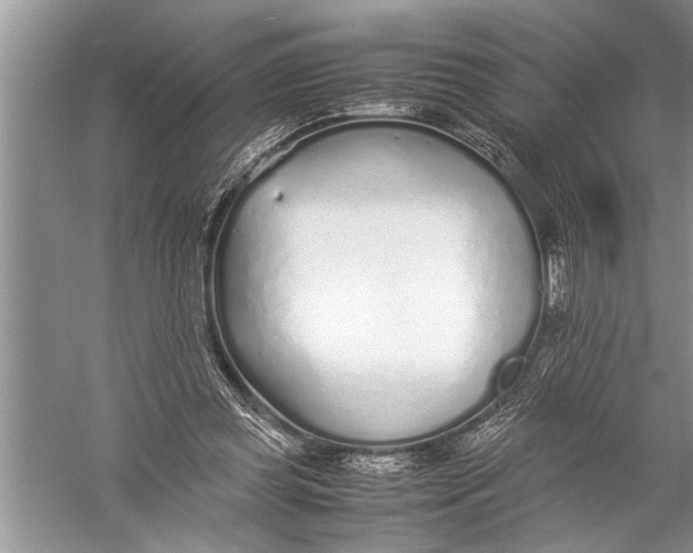 X0000057060349200510010113