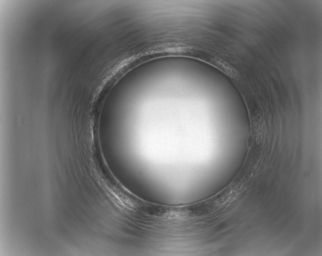 X0000057060350200510010113