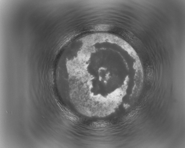 X0000057060351200510010113