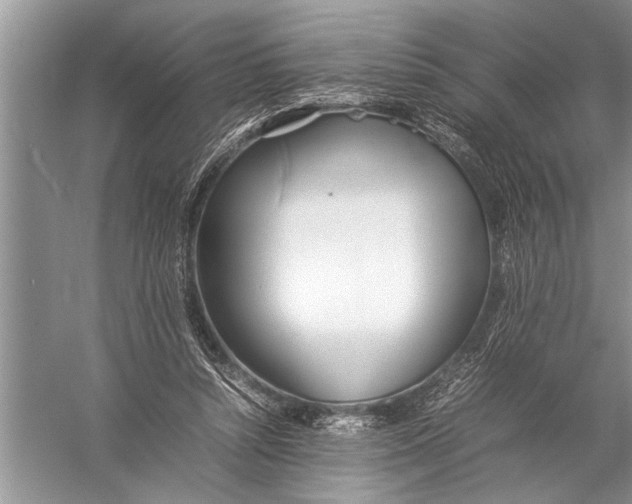 X0000057060352200510010113