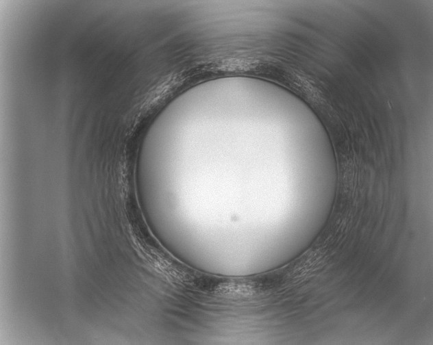 X0000057060354200510010113