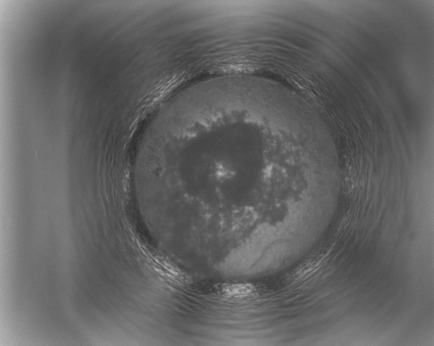 X0000057060355200510010113