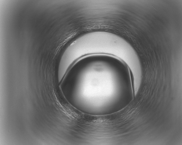 X0000057060356200510010113