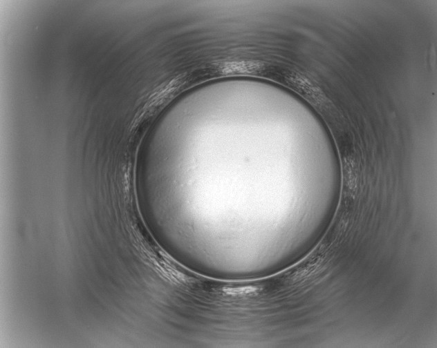 X0000057060357200510010113