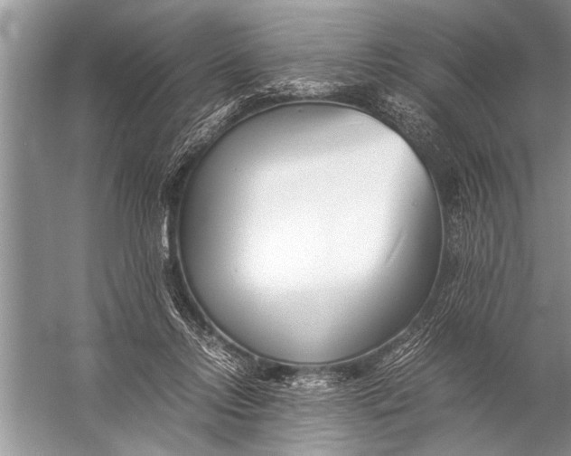 X0000057060358200510010113