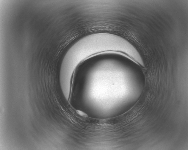 X0000057060360200510010113