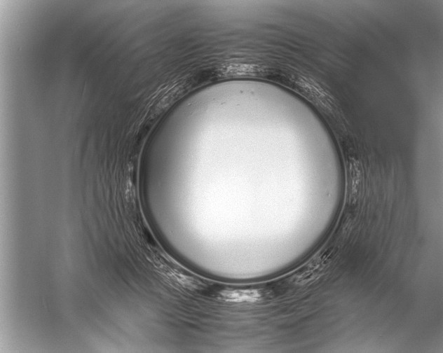 X0000057060361200510010113