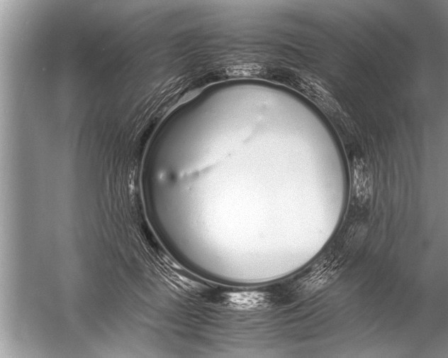 X0000057060363200510010113