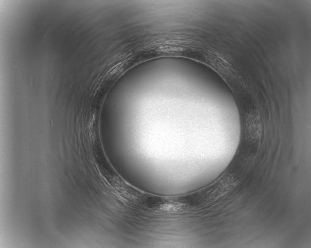 X0000057060364200510010113