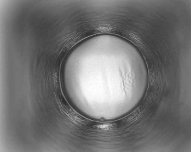 X0000057060365200510010113