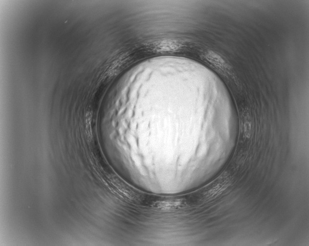 X0000057060366200510010113