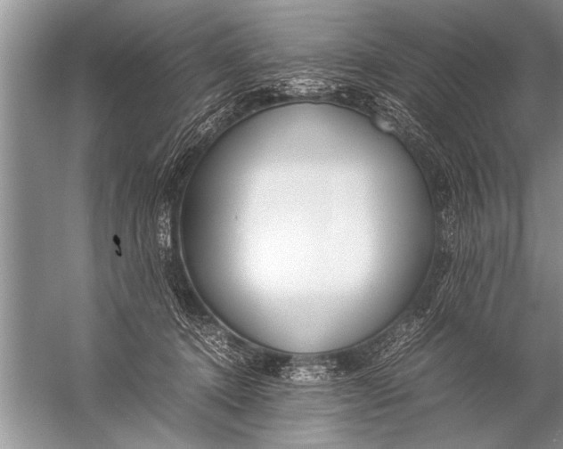 X0000057060368200510010113