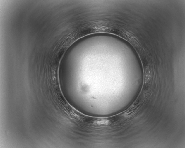 X0000057060369200510010113