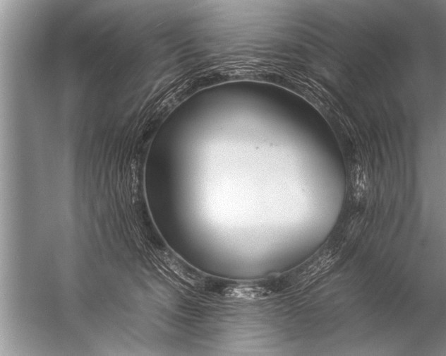 X0000057060372200510010113