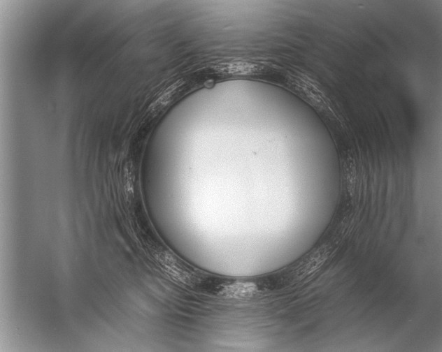 X0000057060374200510010113