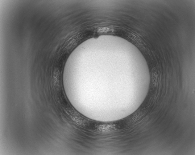 X0000057060375200510010113