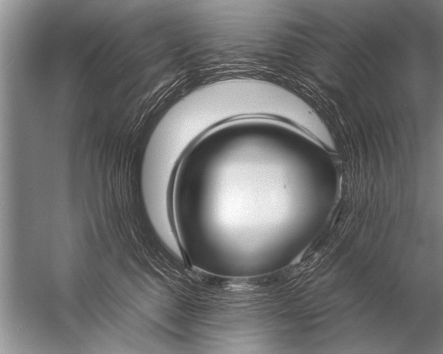 X0000057060376200510010114