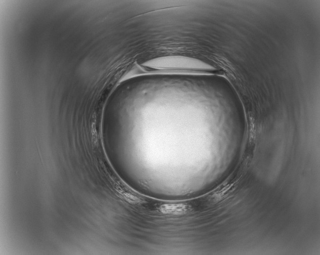 X0000057060377200510010114