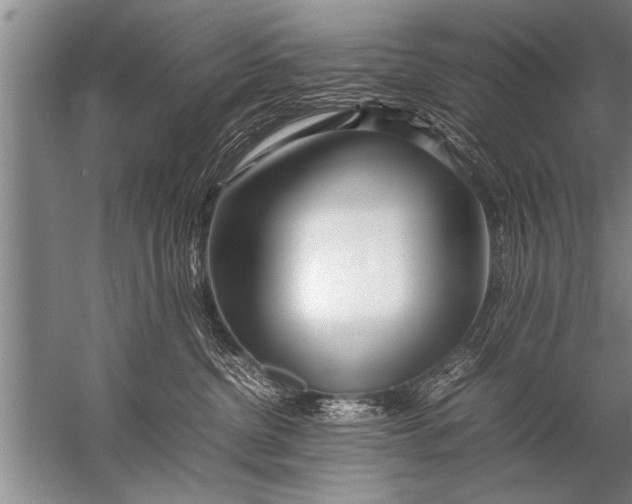 X0000057060380200510010114