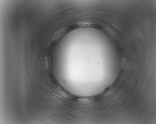 X0000057060381200510010114