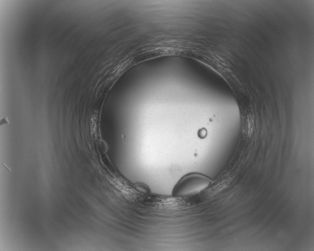 X0000057060382200510010114