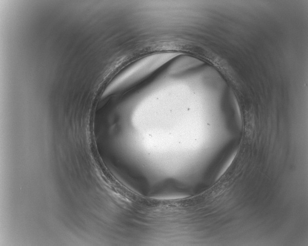 X0000057060386200510010113