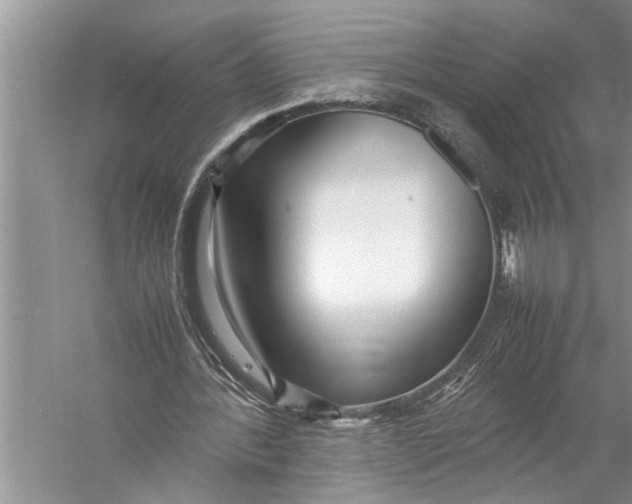 X0000057060388200510010113