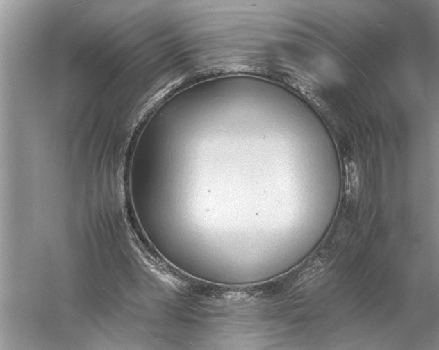 X0000057060390200510010113