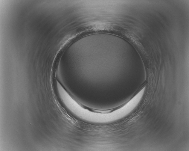 X0000057060391200510010113