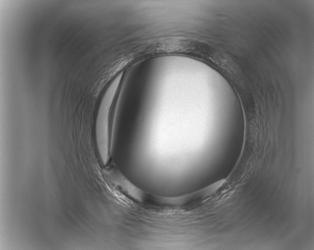 X0000057060393200510010113