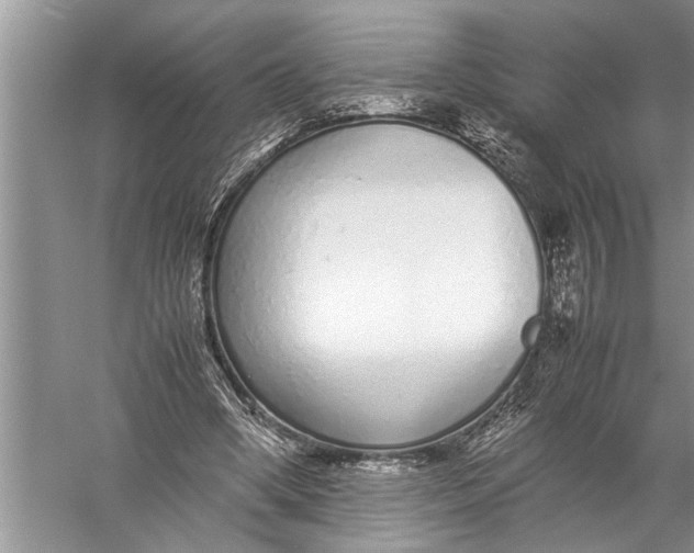 X0000057060394200510010113