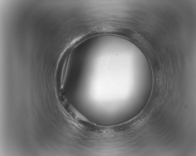 X0000057060395200510010113