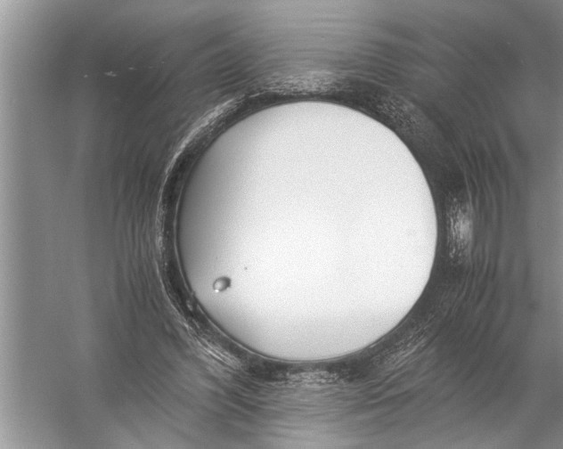 X0000057060396200510010113