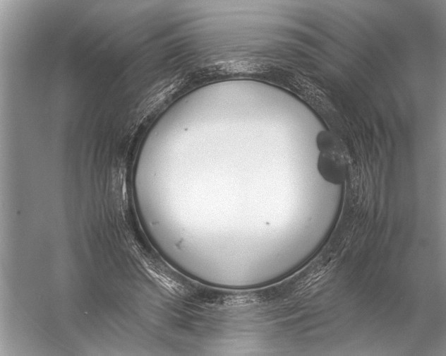 X0000057060398200510010113