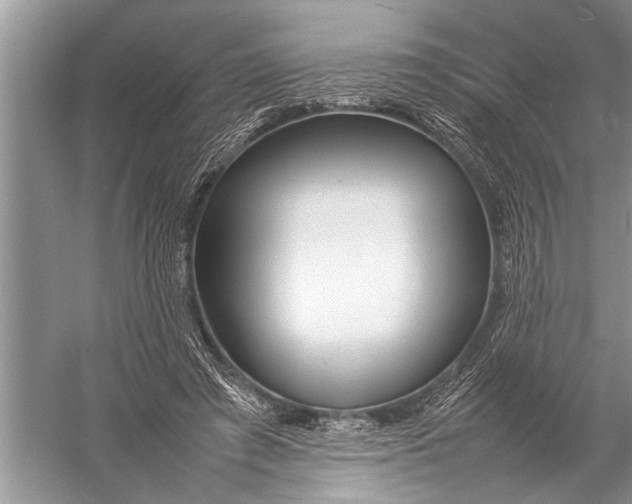 X0000057060401200510010113