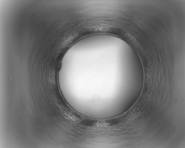 X0000057060403200510010113