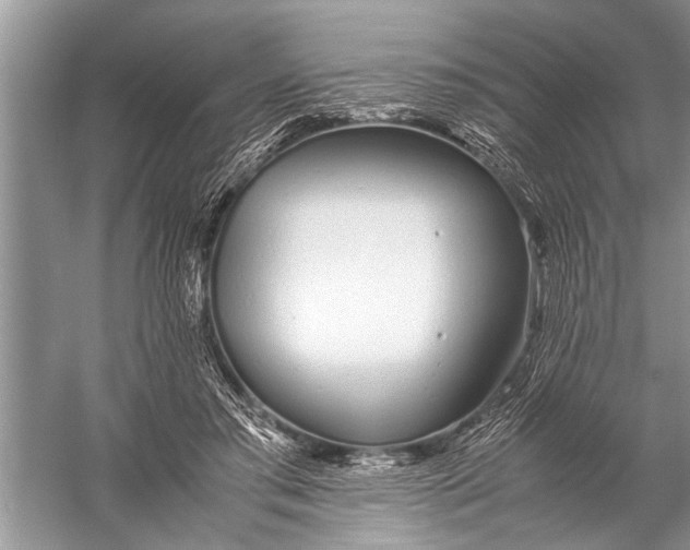 X0000057060405200510010112