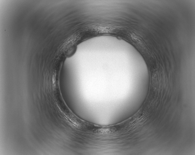 X0000057060406200510010112