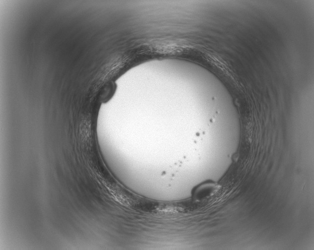 X0000057060407200510010112