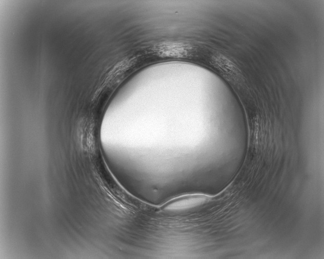 X0000057060408200510010112