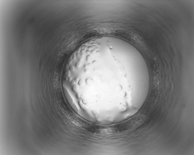 X0000057060411200510010112