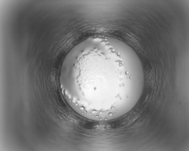 X0000057060415200510010112