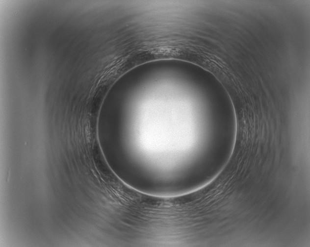 X0000057060416200510010112