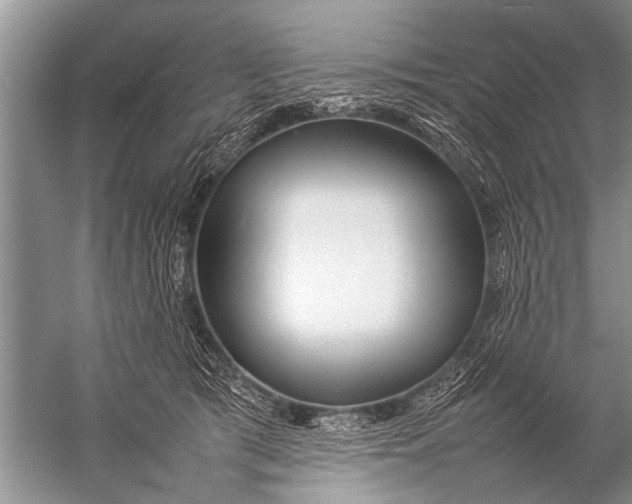 X0000057060417200510010112